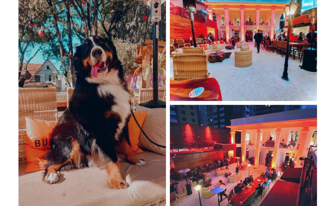 Espaço cultural Âmbar - Pet friendly em Curitiba