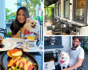 The American Way Café – Pet Friendly em Curitiba